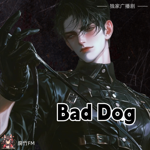 Bad Dog